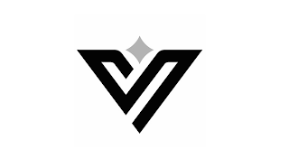 V logo
