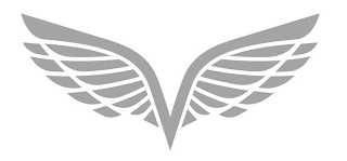 V logo
