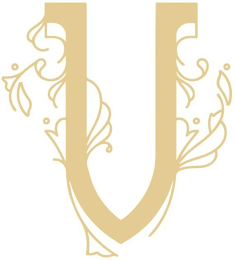 V logo