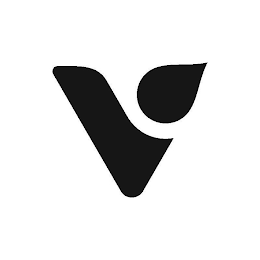 V logo