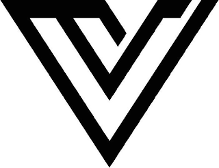 V logo