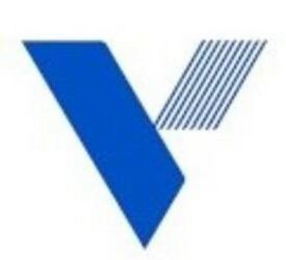 V logo