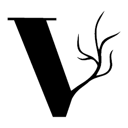 V logo