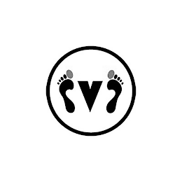 V logo