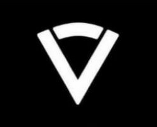 V logo