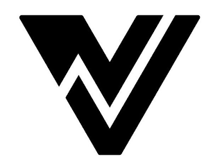 V logo