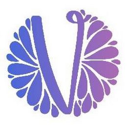 V logo