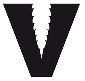 V logo