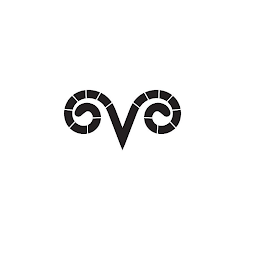 V logo