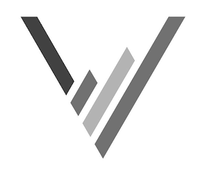 V logo
