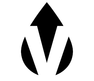 V logo