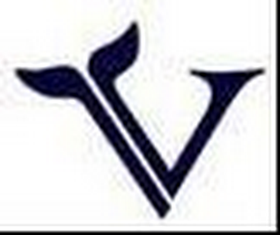 V logo