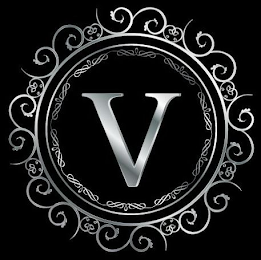 V logo