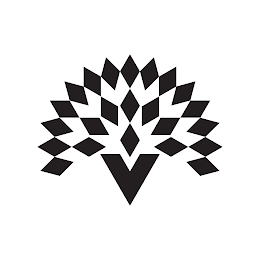 V logo
