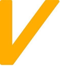 V logo
