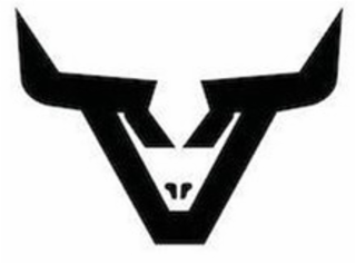 V logo