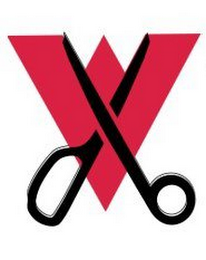 V logo
