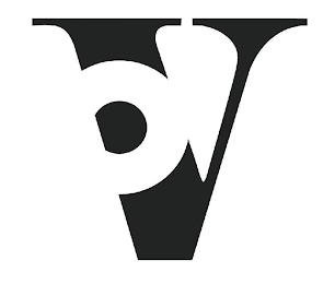 V logo