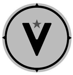 V logo