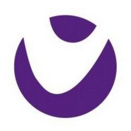 V logo