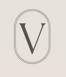 V logo