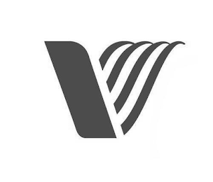 V logo