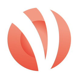 V logo