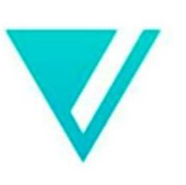 V logo