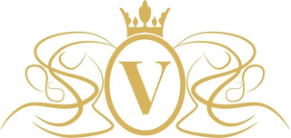 V logo