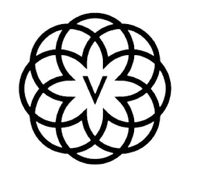 V logo