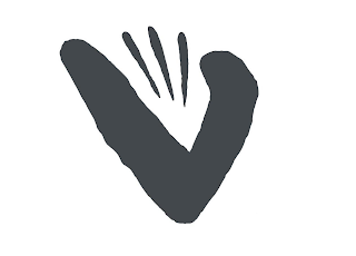 V logo