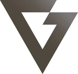 V logo