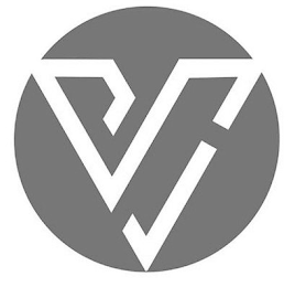 V logo