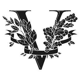 V logo