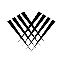 V logo