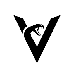 V logo