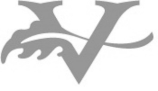 V logo