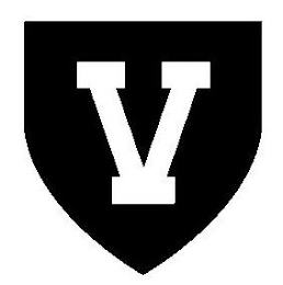 V logo