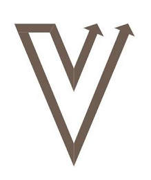 V logo