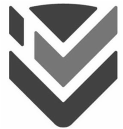 V logo