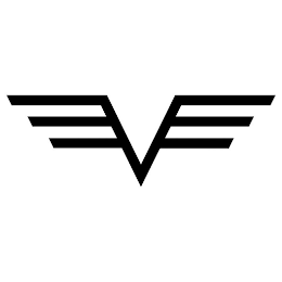 V logo