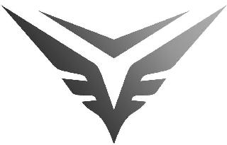V logo