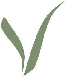 V logo