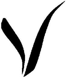 V logo