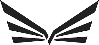 V logo
