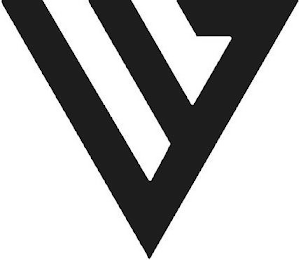 V logo