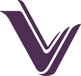 V logo