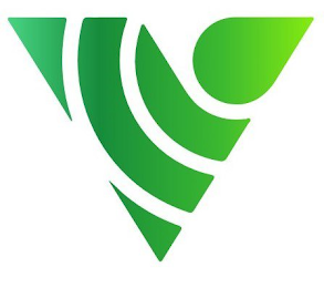 V logo