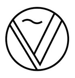 V logo
