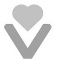 V logo